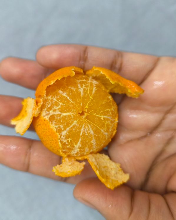 Citrus Scents_3