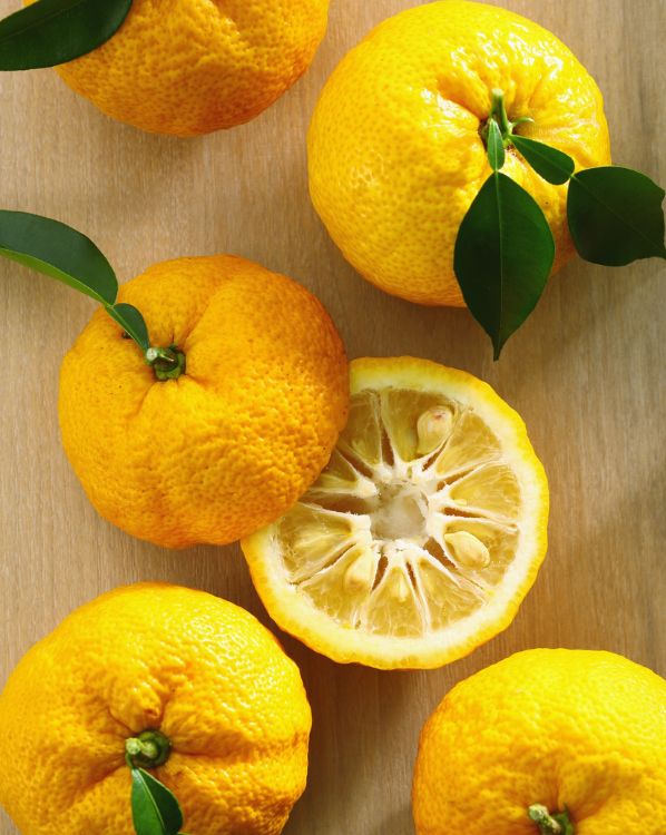 Citrus scent