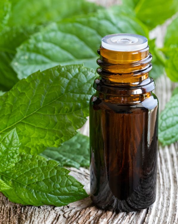 Peppermint Oil